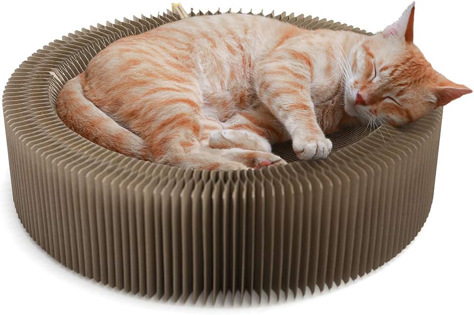 Cat Window Perch with Double Scratching Posts, Double Layers Durable Cat Hammock Holds Up to 80 Lbs, Large Cat Window Seat for 2 Cats,…