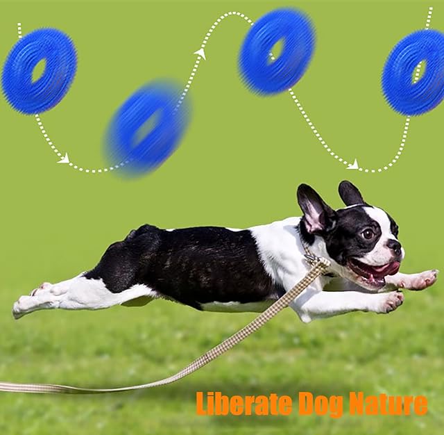 Samnuerly Juguetes Chirriantes para Perros, Juguete Elástico para Masticar