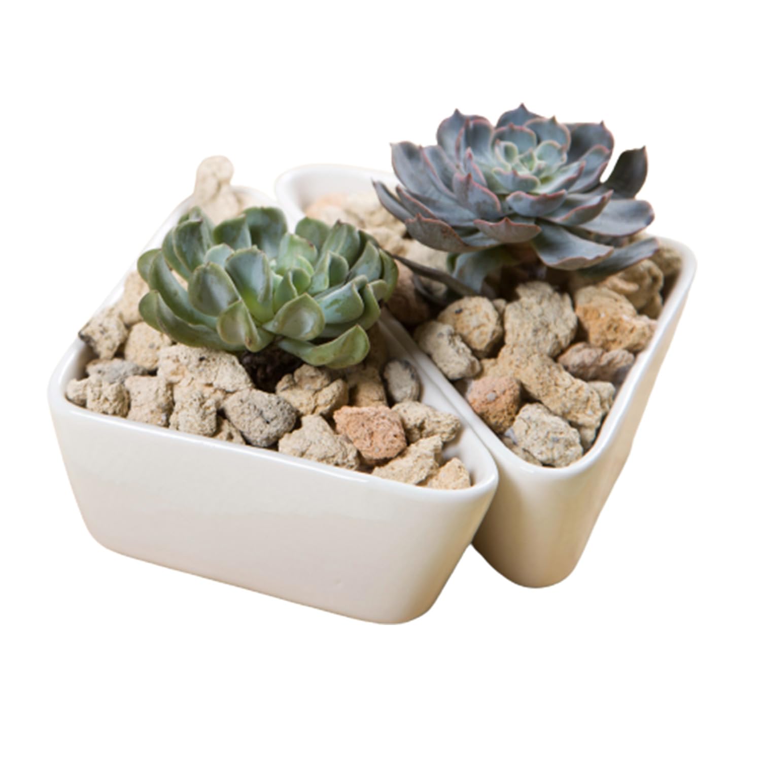 FURN ASPIRE Set of 2 Triangular Shape Small Ceramic Plant Pots, Suitable for Succulents Home Decor, Garden Etc | Indoor & Outdoor (Pack 2, White) (Plants Not Included)