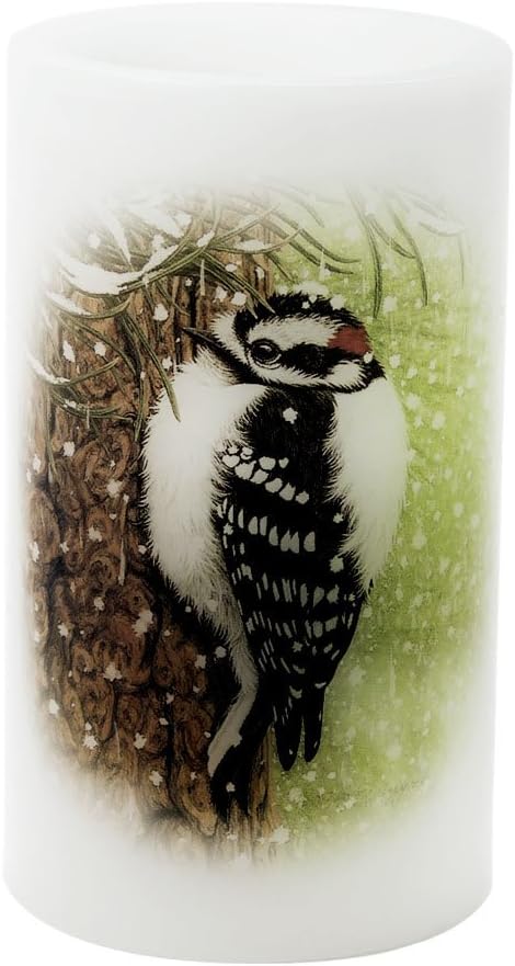 Sterno Home 6-Inch Woodpecker Candle with Timer