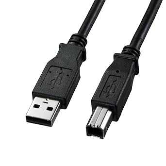 Sanwa Supply KU20-5BKK2 USB 2.0 Cable Black, 16.4 ft 5 m