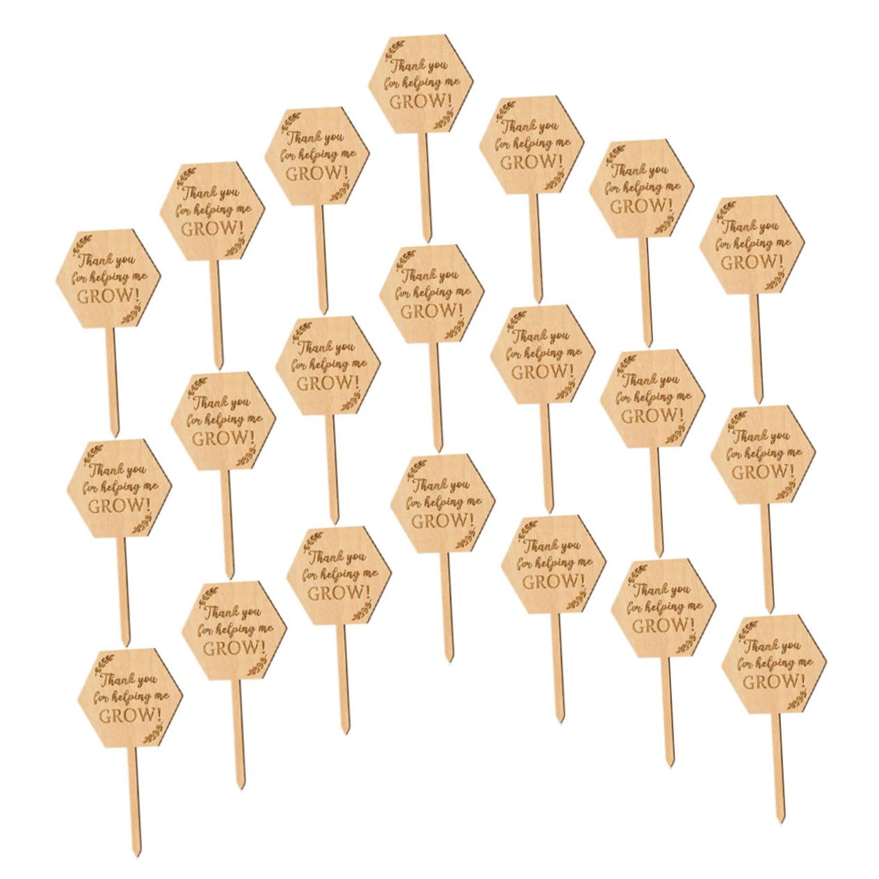ibasenice 5 Ensembles Étiquette En Bois Étiquettes De Pépinière De Jardin Étiquettes De Plantes De Pépinière Toi Nom Pour Étiquettes De La Pot De Fleurs Étiquettes De Semis 40 Pièces * 5