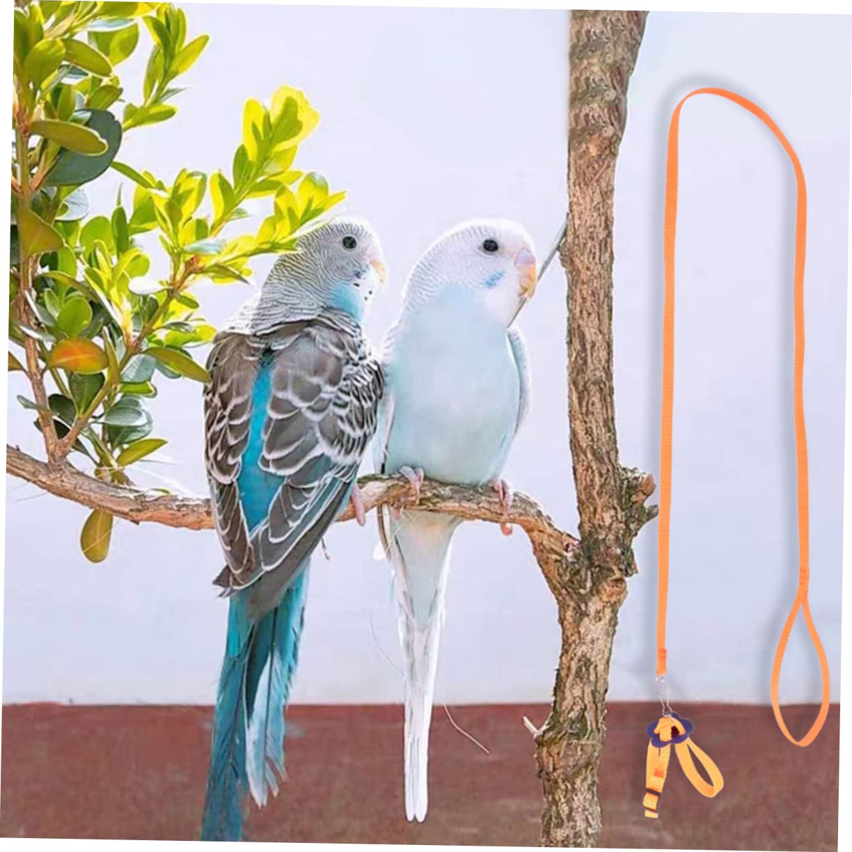 Happyyami Turtle Lizard Leash Pet Pulling Rope for Birds Hamsters Lightweight Durable Ideal for Walking Hiking