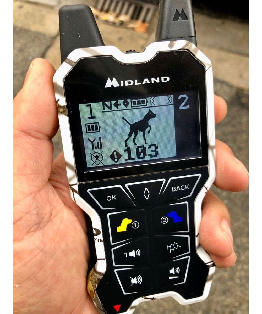 Beeper One GPS Localizzatore per Cani Copertura 2,5 Km Avviso Vibrazione Display Telecomando