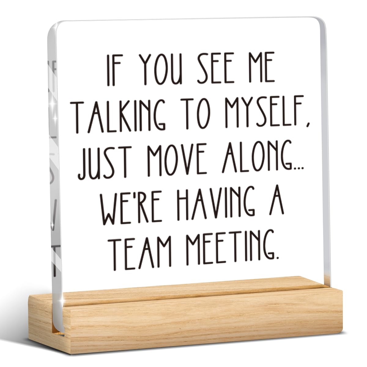HTBIG Funny Office Decor Sign Team Gifts We're having a Team Meeting, Office Desk Decor Acrylic Sign With Wooden Base, Gifts For Friends, Colleagues,