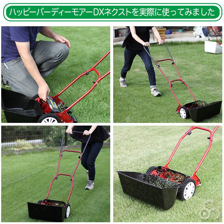 Amazon.co.jp: キンボシ ハッピーバーディーモアーDXネクスト