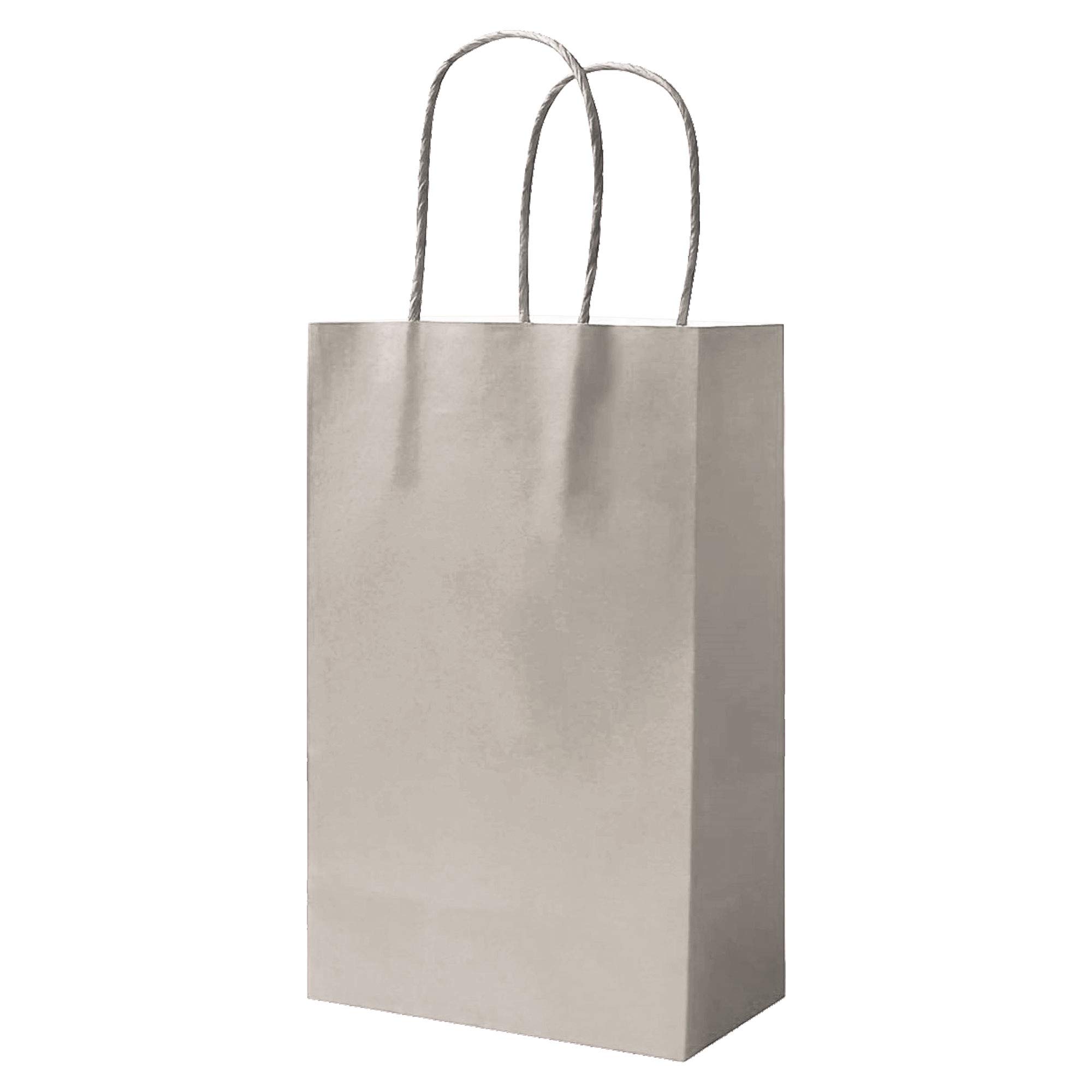 Habercrafts 100 Paper Party Bags, Gift, Sweet & Birthday Party Bags with Matching Colour Twist Handles 180mm x 220m x 80mm (Silver Grey - 100 Bags)