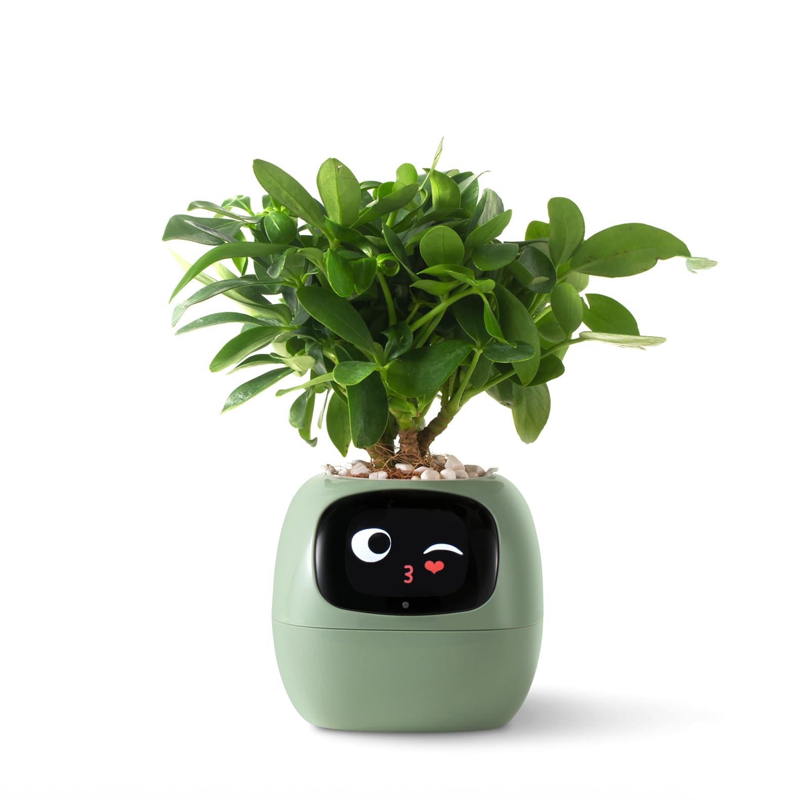 PLANTSIO Ivy Intelligent Flower Pot for Home Decoration Plants