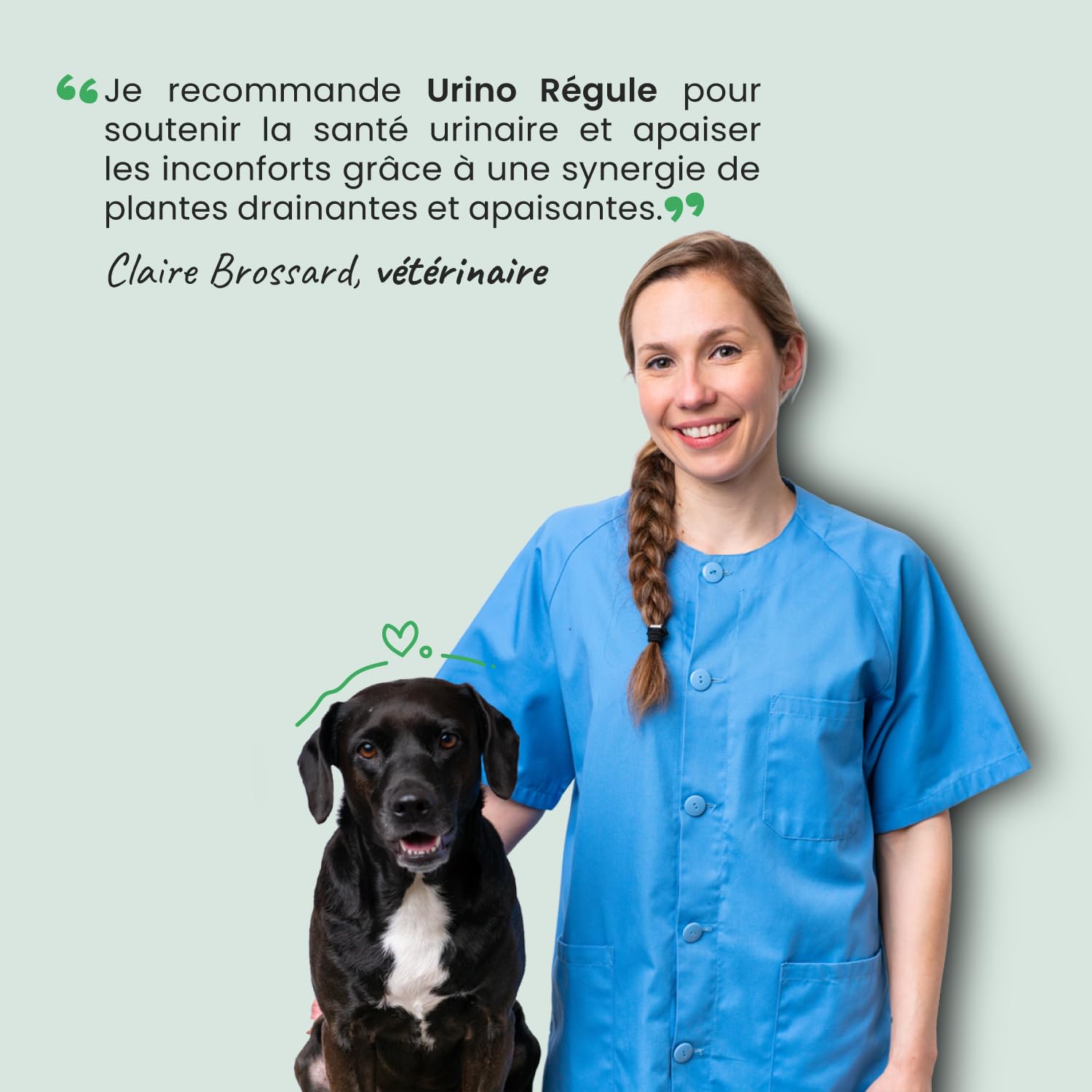 Museau & Co Urino Régule – Infection Urinaire Chien – 200ml – Cystite Chien & Chat, Anti-inflammatoire, Soutien Vessie & Reins, Confort Urinaire Fabriqué en France