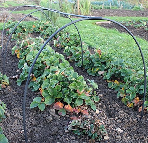 Gardening Naturally Black Hoop Tunnel 1.8m Long 1.2m Wide and 60cm High
