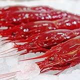 Carabinero Fesco - Pescadería Premium - 1 kg -Pescado y Marisco Fresco de Lonja (1 kg, Carabinero)
