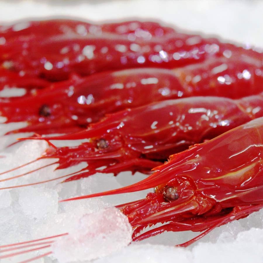 Carabinero Fesco - Pescadería Premium - 1 kg -Pescado y Marisco Fresco de Lonja (1 kg, Carabinero)