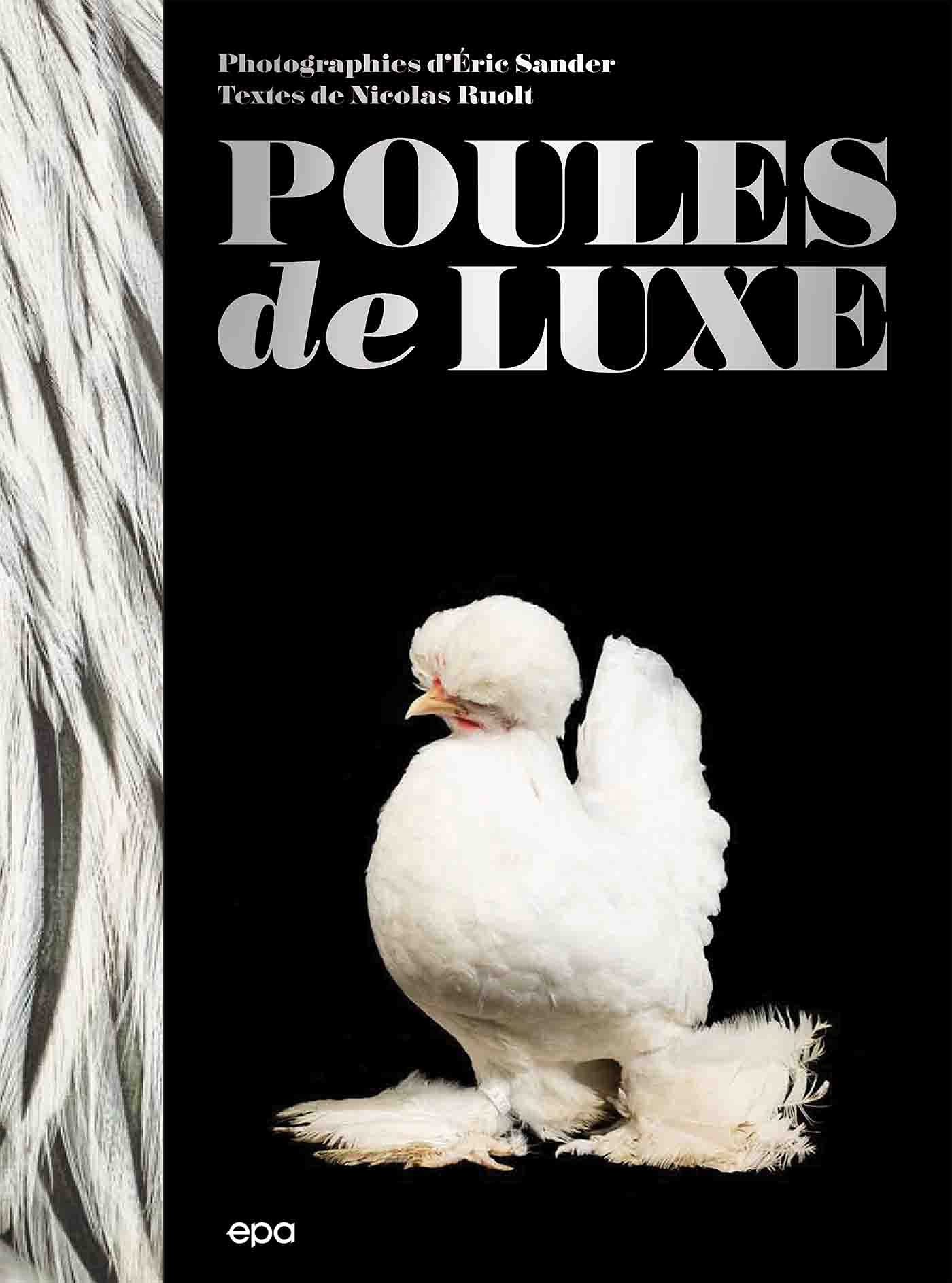 Poules de luxe : dites adieu aux parasites du jardin grâce à un élevage écologique chic