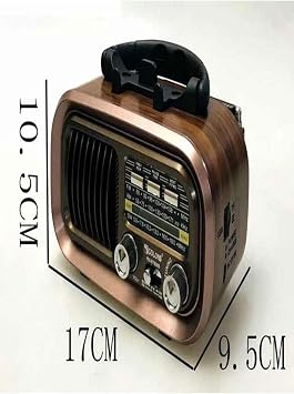 FM Radio Bluetooth Speaker with Phone Stand that Can Charge from Nostalgic Looking Solar Panel
