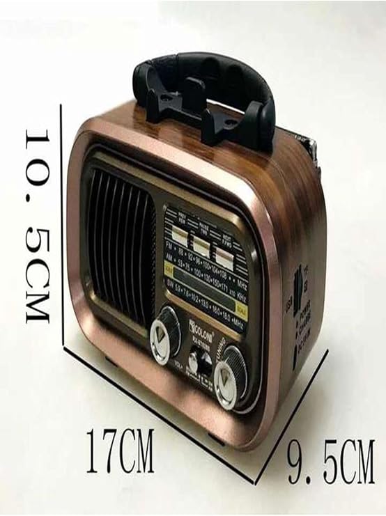 FM Radio Bluetooth Speaker with Phone Stand that Can Charge from Nostalgic Looking Solar Panel