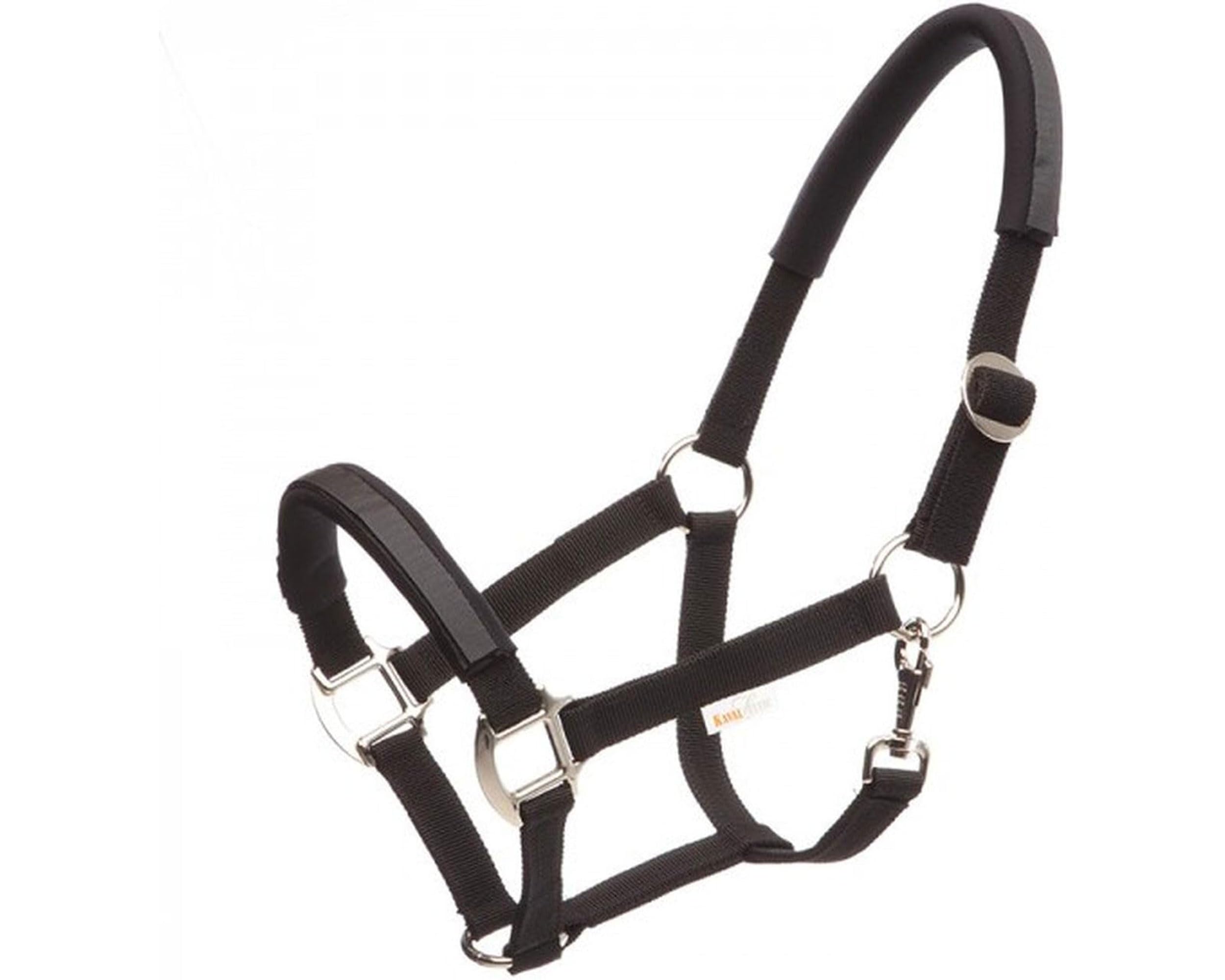Kavalkade Sicherheitshalfter KavalLastic aus dehnbarem Material (Warmblut, Schwarz)