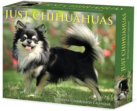 Willow Creek Press Calendars, Just Chihuahuas 2025 Desk Calendar