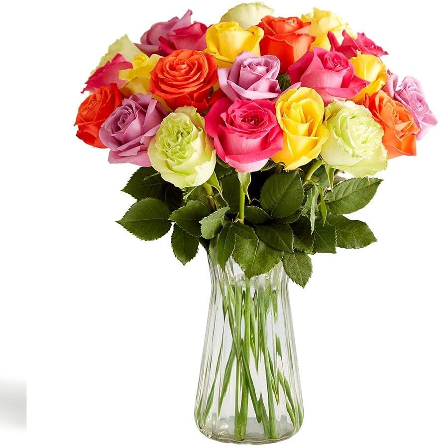 1800 Flowers – 24 Stem Assorted Bright Roses (Bouquet Only) | Fresh Cut Spring Flowers for Delivery | Gift for Mother's Day, Anniversary, Sympathy, and Special Occasions