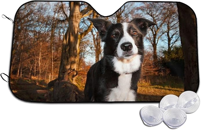 Amazon Selgae 車用サンシェード 犬に癒され 一緒に遊ぼう 車用遮光カーテン フロントガラスカバー カーシェード 断熱 遮光 日除け Uvカット 日焼け 折畳み 簡単収納 便利 車中泊 アウトドア 車 アクセサリー 仮眠 盗難防止 車 バイク 車 バイク