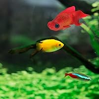 Vista 7 de Silicone Artificial Fish Aquarium Decortion High Simulation Lifelike Floating Fake Betta Fish Tank Ornament (Red Goldfish)