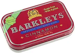 Chiclete Barkleys Chewing Gum Cinnamon Canela 30 Gr