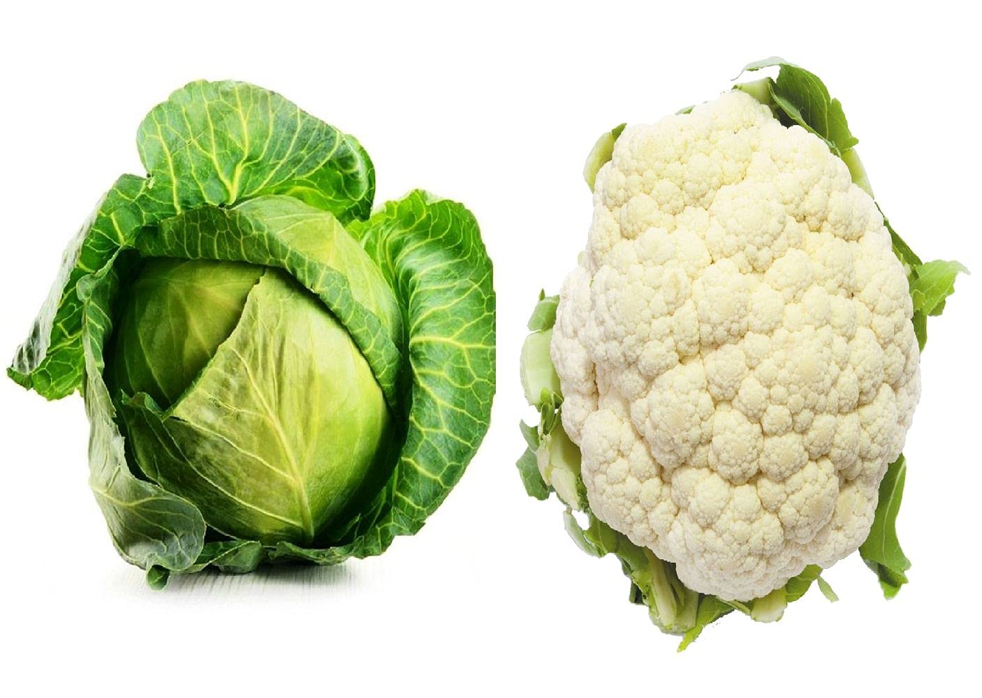 Iris Hybrid Vegetable Seeds Combo of Cauliflower and Cabbage with