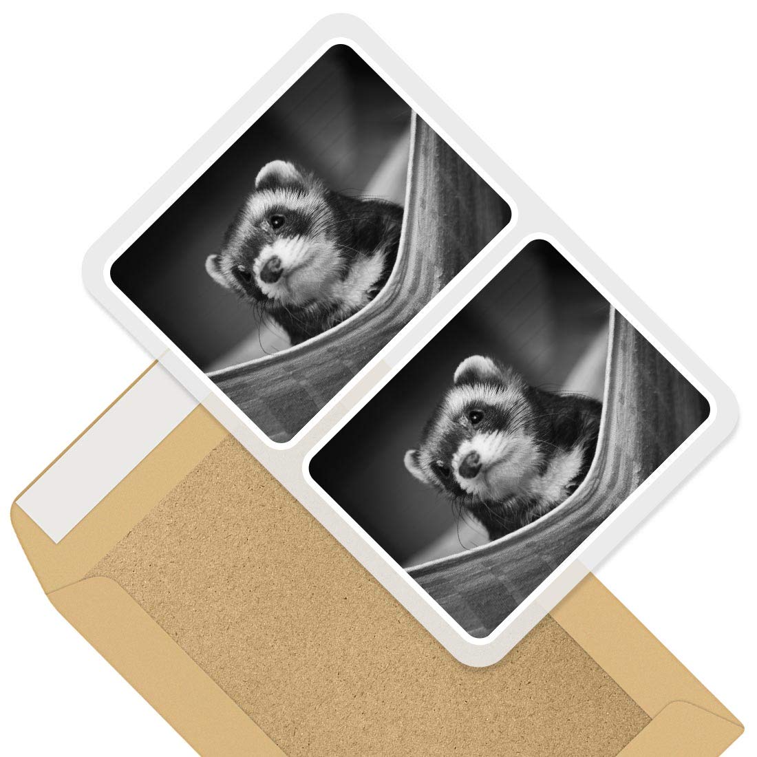 Destination Vinyl Ltd Multi Rectangle Stickers (Set Of 2) 10Cm - Ferret Hammock Pet Rodent Animal 37246