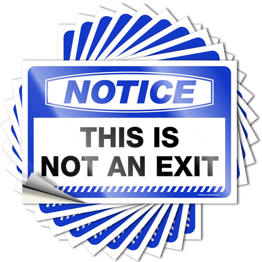 Fzfn Colour Snarky Decals Aesthetic Decals, Must Cute Pattern Design For Billiard Notebook | Tumbler Removable Vinyl Notice This Is Not An Exit(6X9cm)
