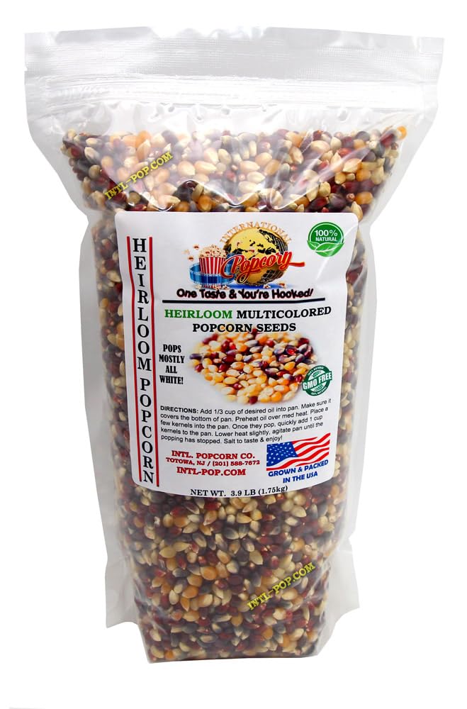 3.9 LB Heirloom Multicolored Popcorn Kernels • NonGMO