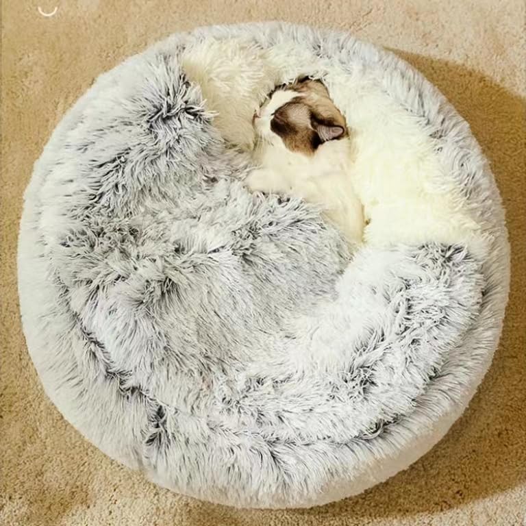 Beds for Small Dogs - Image 5