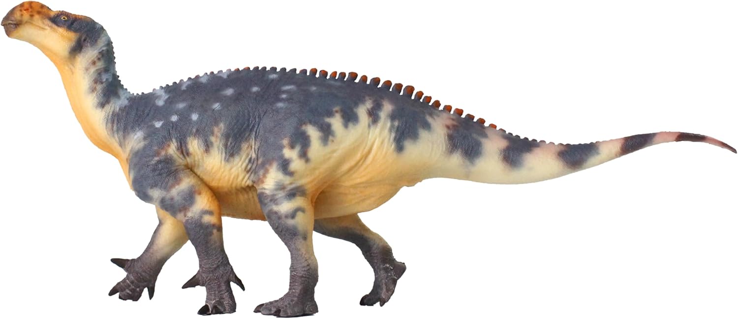 New Iguanodon 1：35 Science and Art Model (Zheng Tian Shou)