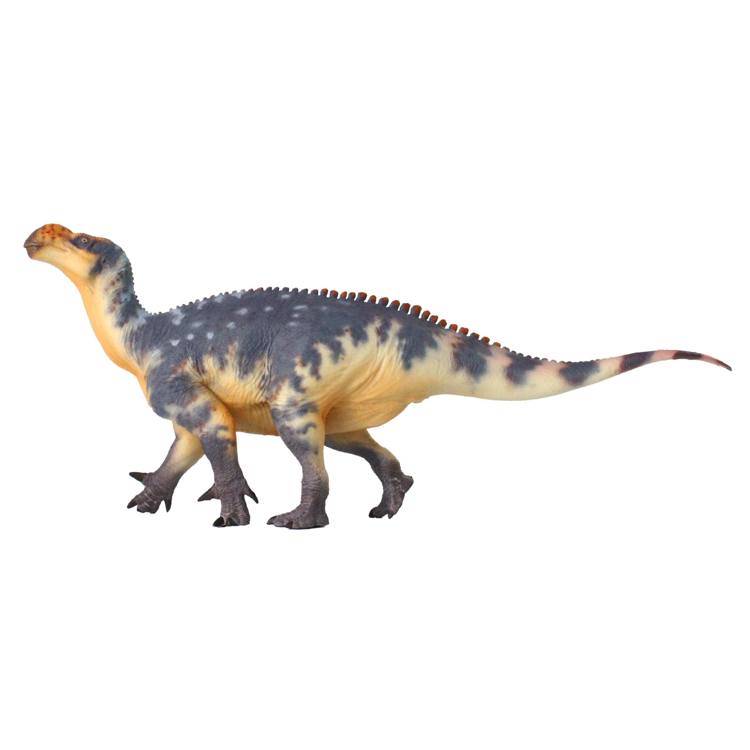 Iguanodon 1:35 Science and Art Model (Zheng Tian Shou)