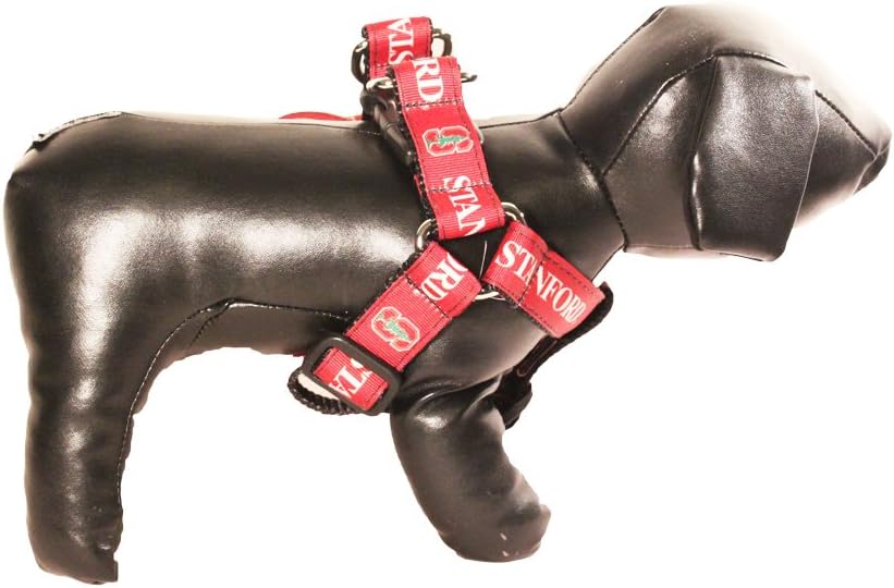NCAA Collegiate Dog Harness