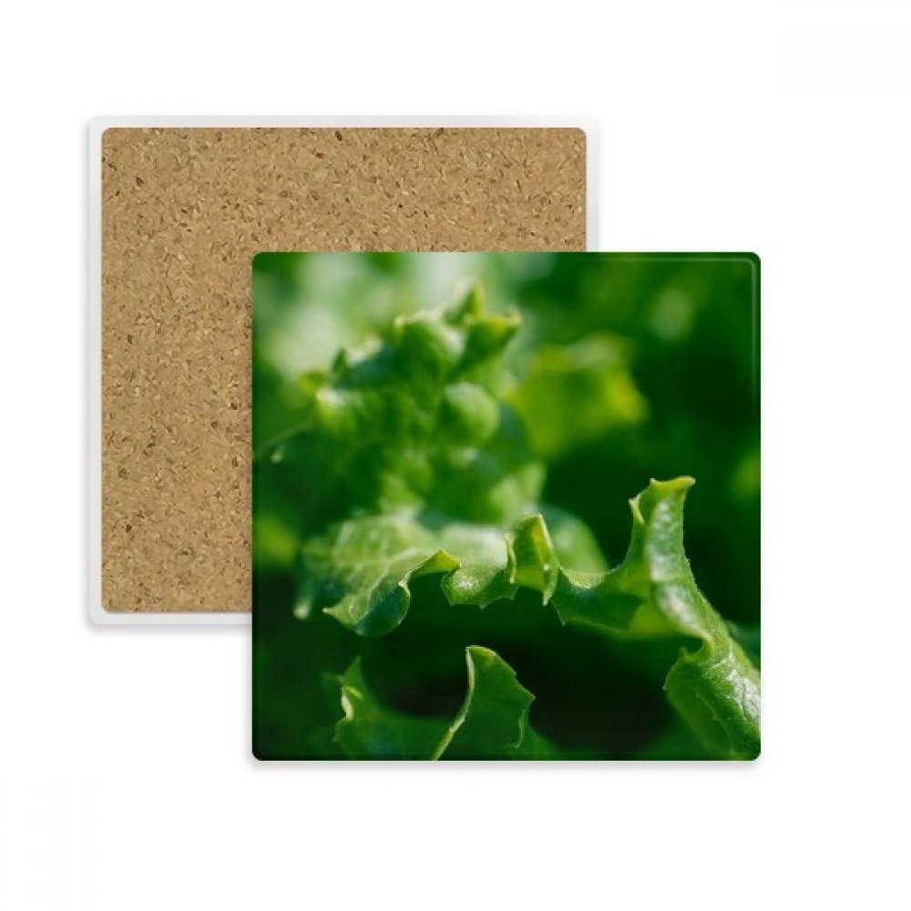 Dessous de verre absorbant feuille nature pour des pauses café sereines