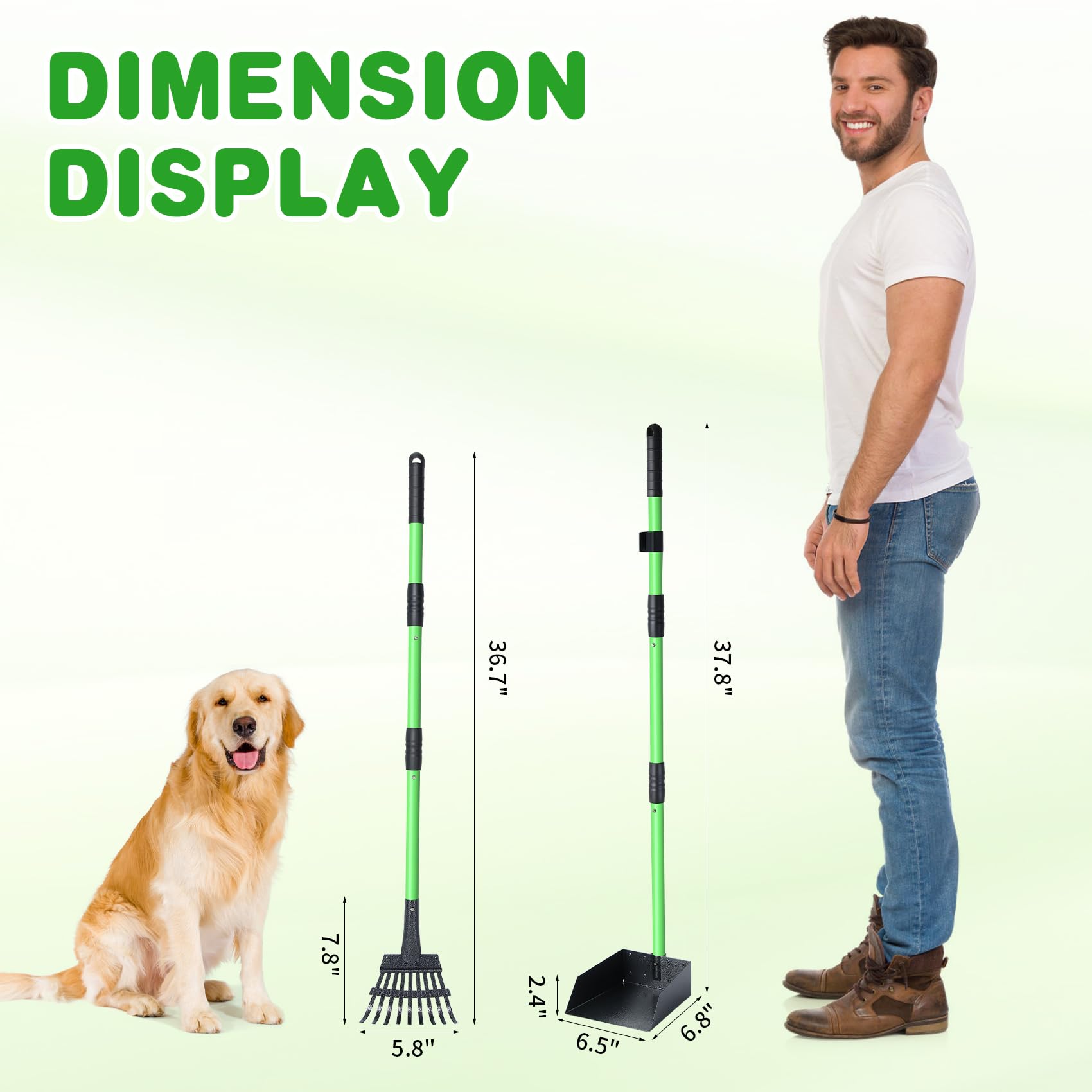 REAPALOT Pelle à déjections canines en acier inoxydable robuste avec plateau et râteau à déjections canines à long manche pour chiens de petite, moyenne et grande taille, utilisation sur l'herbe, la