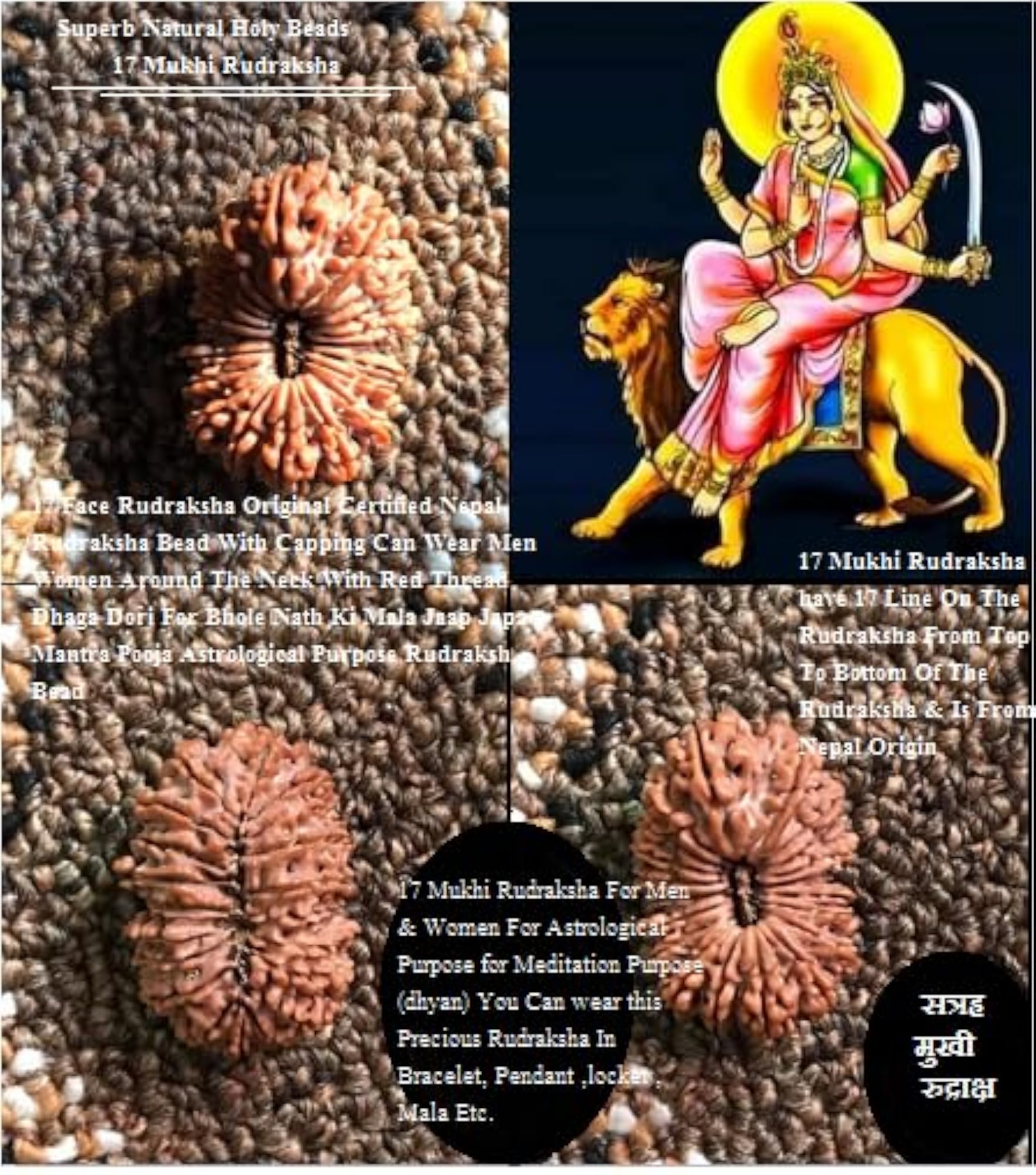 Seventeen Face Rudraksha Natural Nepali Beads