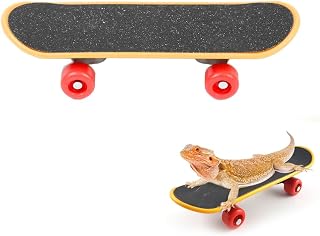 Mini Turtle Skateboard for Small Pets - Fun Tortoise Skateboard Toy for Reptiles, Bearded Dragons, Parrots, and Other Small Animals - Cute and Safe Skateboard for Turtles and Tortoises(Large)
