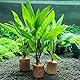 Aquarium Filter Ringe Aquarium Keramikringe Wasserpflanze Ringe Keramik Wasser Anlage Festen Ring für Aquarien Aquarium Keramik Ringe Aquarium Wasserflora Landschaftsbau Festen Ringe 10 Stück