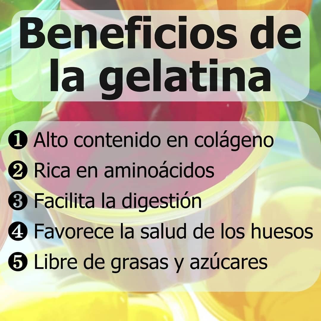Gelatina Neutra Sin Sabor en Polvo Fino 1 kg Profesional Teixidor 100% Colágeno Animal Puro, Fácil Disolución Espesante, Gelificante y Estabilizante para Postres, Mousses y Repostería