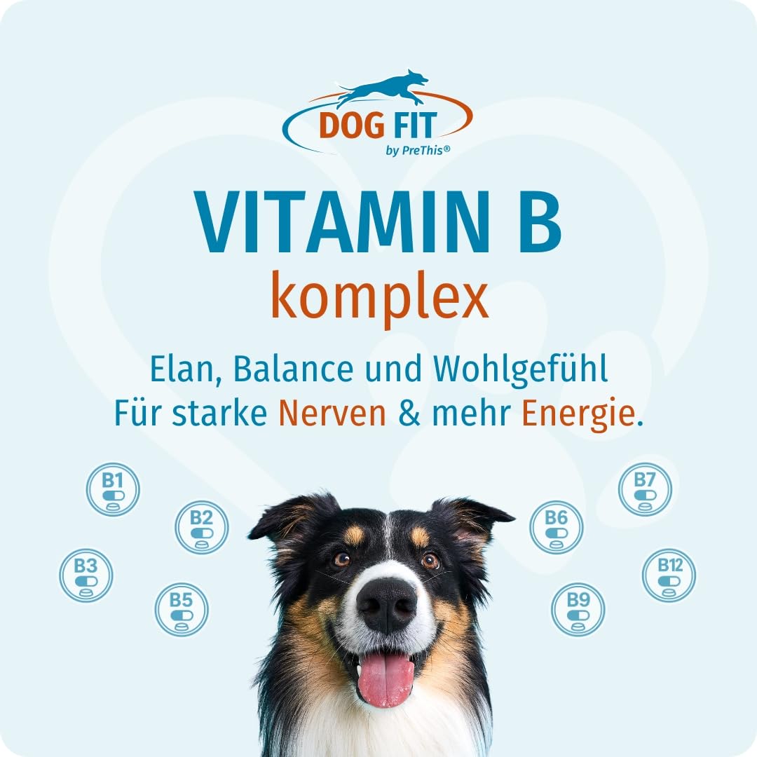 DOG FIT by PreThis® Vitamin B Komplex für Hunde | Unterstützung der normalen Nervenfunktion I Vitalität & Stoffwechsel | Vegan & ohne künstliche Zusätze I Large ab 25kg | 60 vegane Kapseln