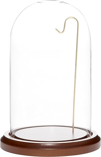 Miniatura 2 de Plymor Cúpula de cristal para relojadorno de 4 x 7 pulgadas (base de chapa de nogal y alambre plateado)