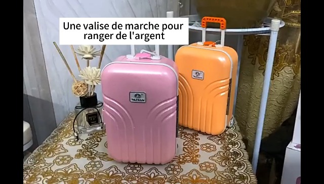 Vvikizy Jouet Bébé Baby Valise Jouet En Plastique En Plastique Mini-boîte à Bagages (argent) Jeux Peluche Argent - Jeux - Jouets
