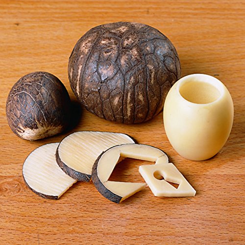 Woodcraft Tagua Nuts 5-Piece