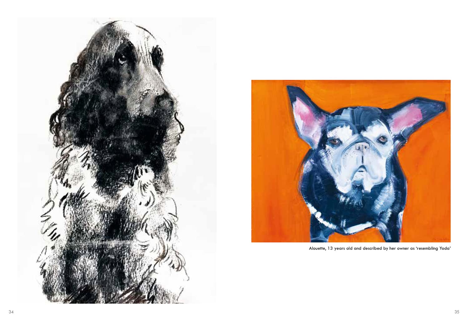 Old Dogs: A collection of charming dog portraits