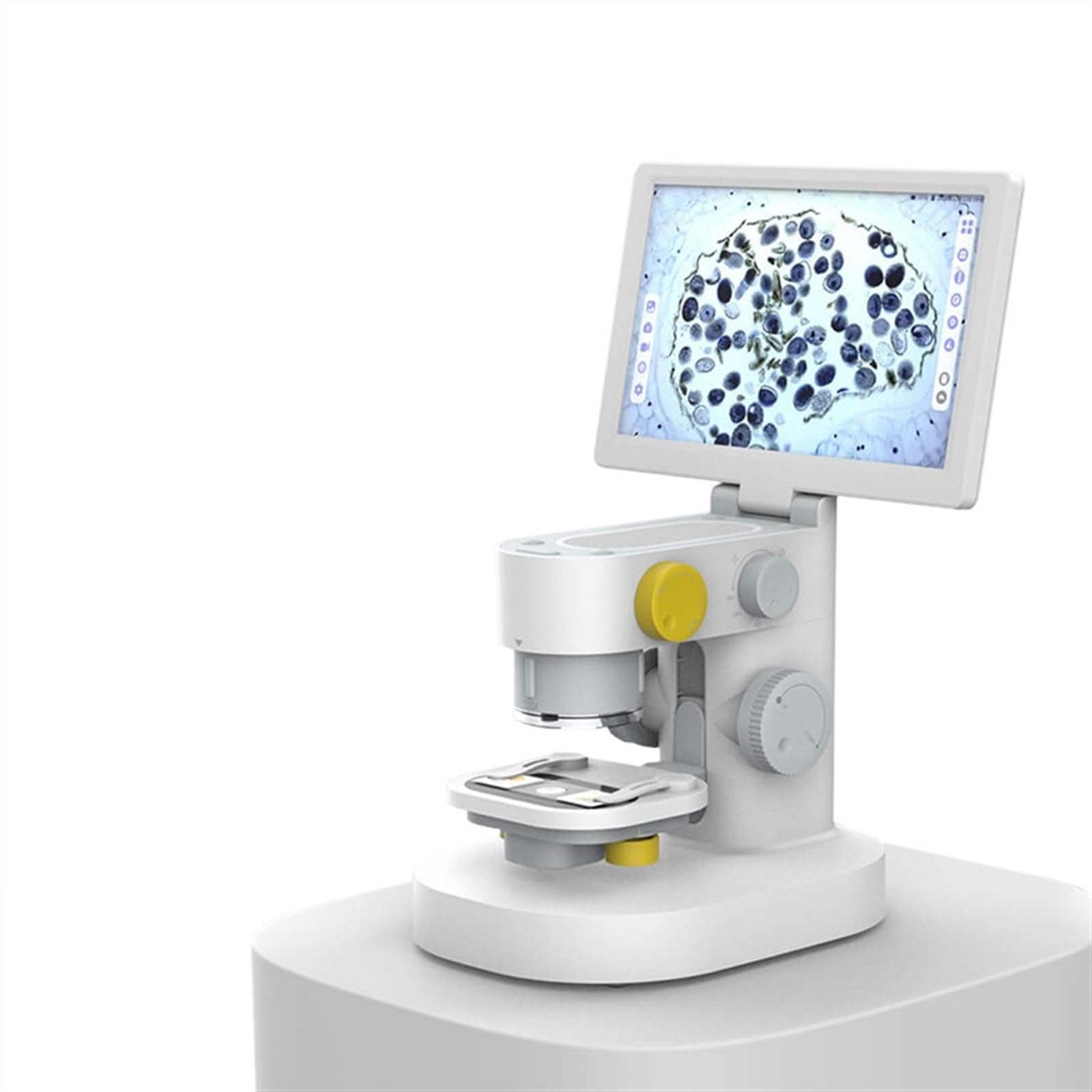 Microscopi Microscopio biologico digitale HD da 9 pollici Microscopio di ricarica USB 5MP 1080P 100-1200X Touch Screen for ispezione scientifica degli studenti