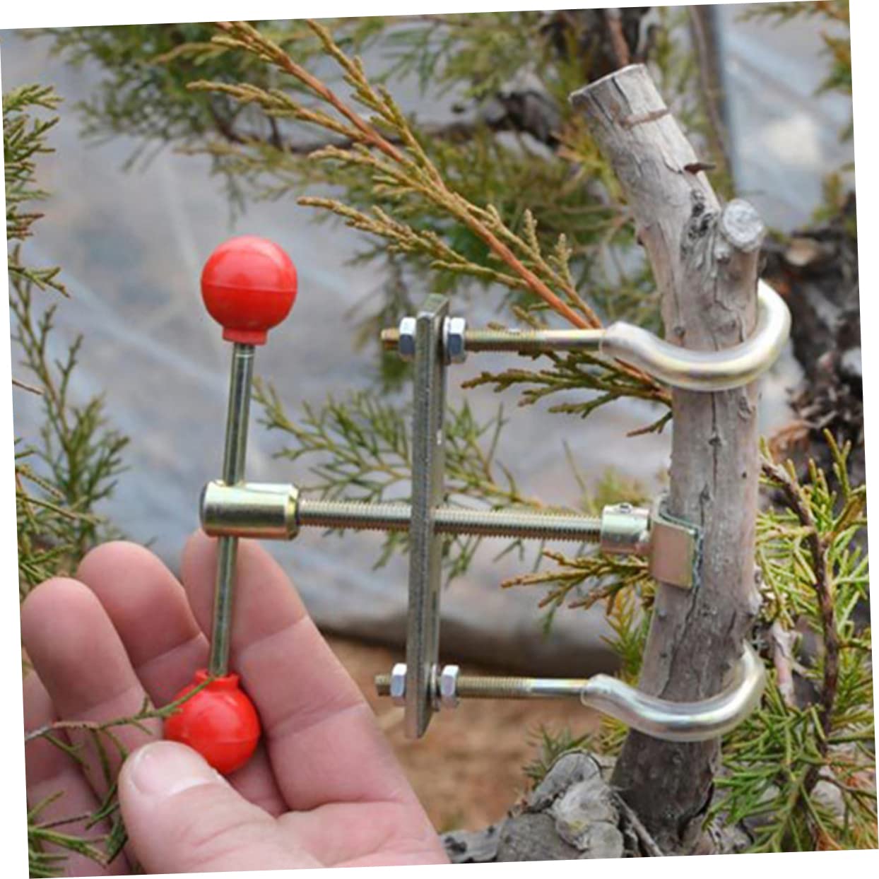 SUPVOX 3pezzi Strumento Per Modellare Rami Di Bonsai Attrezzo Da Giardino Per Potatura e Piegatura Utensile Per Giardinaggio Efficiente e Pratico Per Design Floreale Ottimale