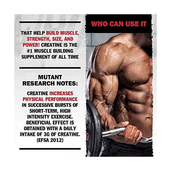 Mutant Creakong, Creatine Supplement and Workout Boost Absorption Accelerator with No Fillers, 300g - Image 7