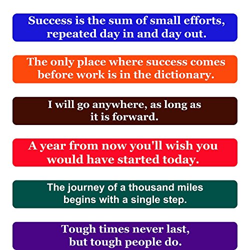 Success Quotes Fridge Magnets- Inspirational Words & Motivational Quotes Magnet Set –The Perfect Gift to Inspire Success in Others, Set of 6 Individual Quote Magnets by Home & Beyond
