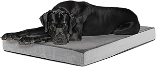 BarkBox Orthopedic Dog Bed - XXL