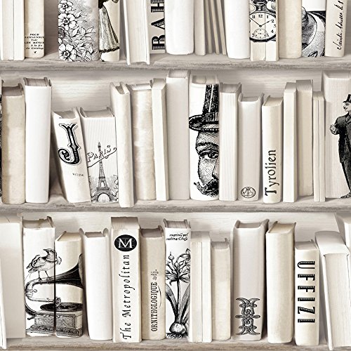 PAPEL PINTADO PARA PARED ESTANTERÍA PARA LIBROS DICTONARY 10 METER DE Cover